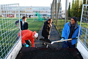 Fire måker på hengeren 300p.jpg